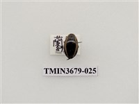 藏品(龍蝨、牙蟲)的圖片